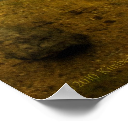 Groomend Eucks 2 Poster (Hoek)