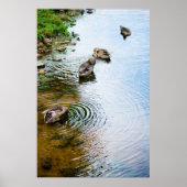 Groomend Eucks 2 Poster (Voorkant)