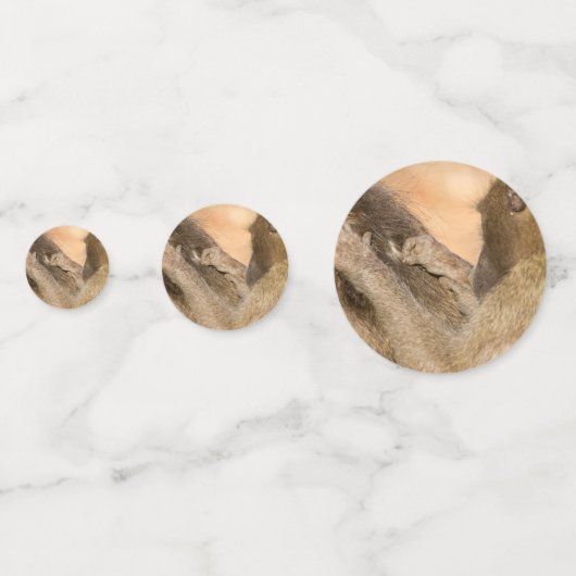 Grooming baboons confetti (Achterkanten)