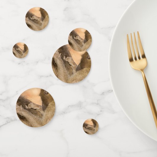 Grooming baboons confetti (Groep)