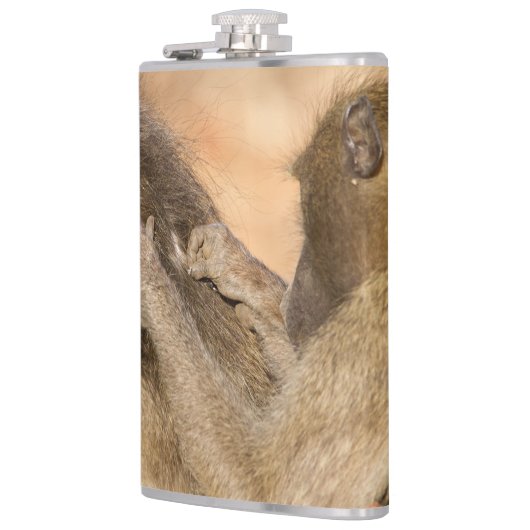 Grooming baboons heupfles (Links)