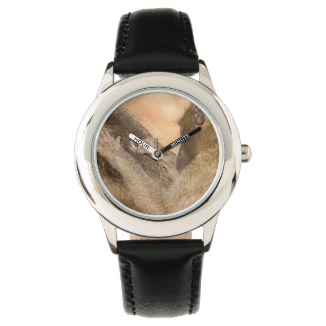 Grooming baboons horloge (Voorkant)