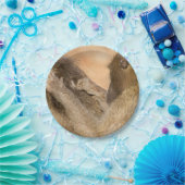 Grooming baboons papieren bordje (Feest)