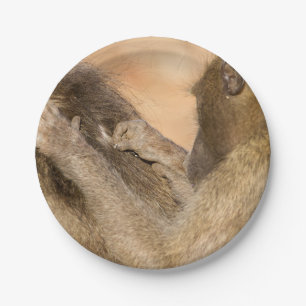 Grooming baboons papieren bordje