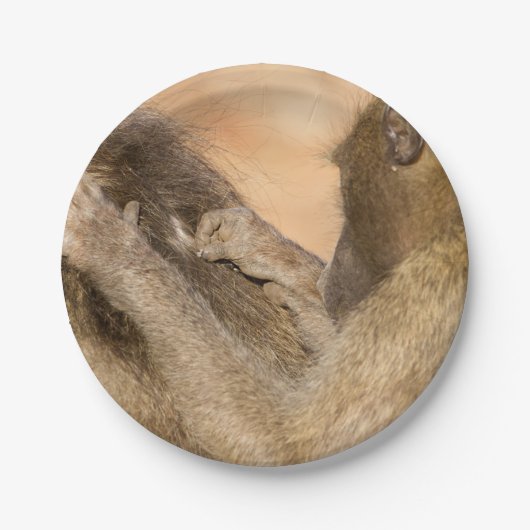 Grooming baboons papieren bordje (Voorkant)