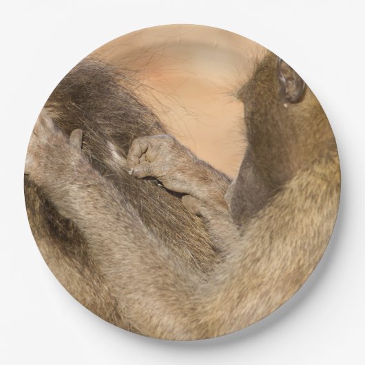 Grooming baboons papieren bordje (Voorkant)