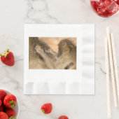 Grooming baboons servet (Insitu)