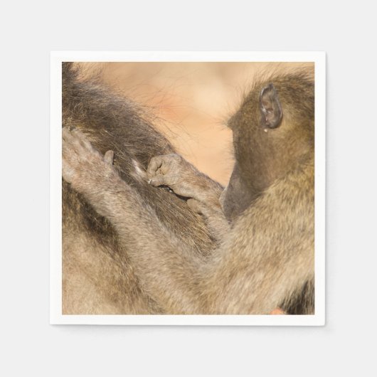 Grooming baboons servet (Voorkant)
