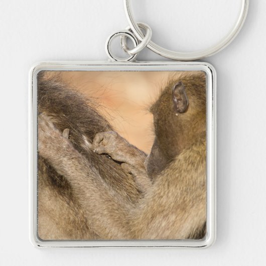 Grooming baboons sleutelhanger (Voorkant)