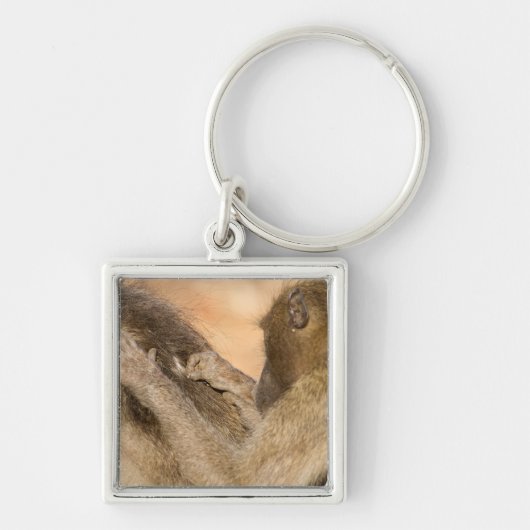 Grooming baboons sleutelhanger (Voorkant)