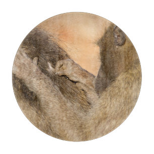 Grooming baboons snijplank