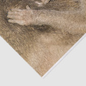 Grooming baboons tissuepapier (Detail)