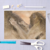 Grooming baboons tissuepapier (Craft)