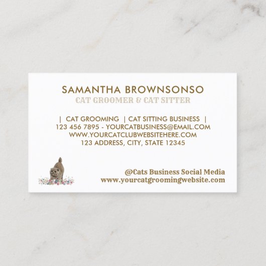 Grooming Salon Pet Spa Scottish Fold Cat Visitekaartje (Achterkant)