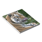 Grooming Tiger Notitieblok (Schuin)