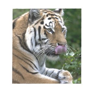 Grooming Tiger Notitieblok