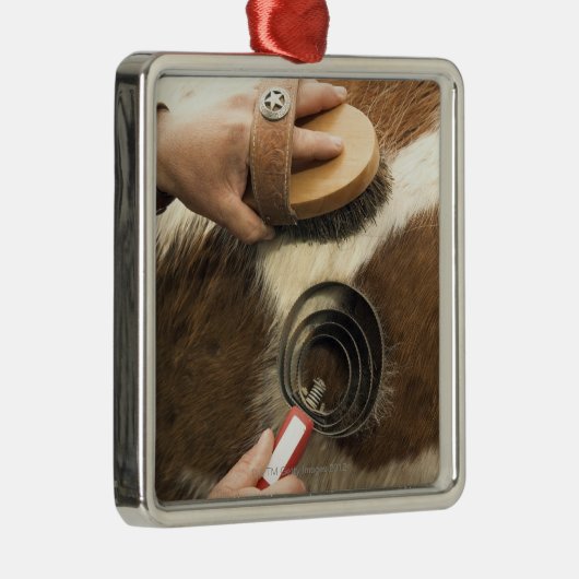 Groompaard Metalen Ornament (Rechts)