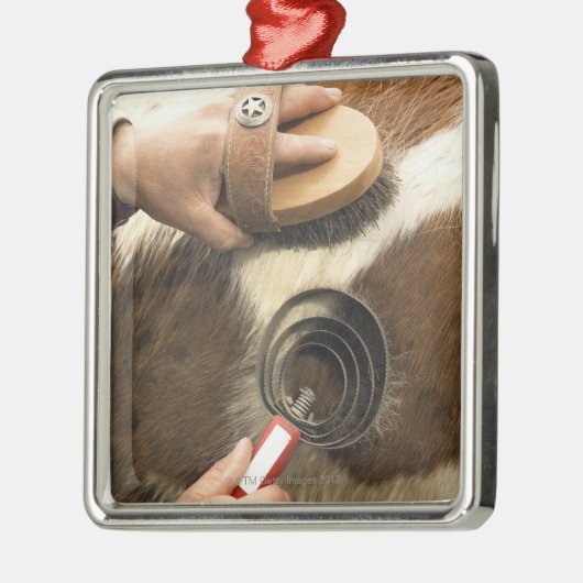 Groompaard Metalen Ornament (Links)