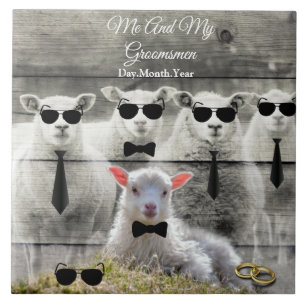 Groomsmen Sheep Flock Baby Lamb Tegeltje