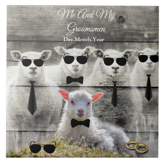 Groomsmen Sheep Flock Baby Lamb Tegeltje (Voorkant)