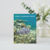 groot barrièrekoraal briefkaart (Staand voorkant)
