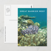 groot barrièrekoraal briefkaart (Voorkant / Achterkant)