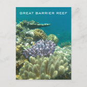 groot barrièrekoraal briefkaart (Voorkant)