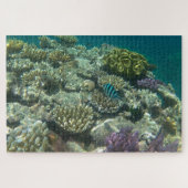 groot barrièrerif legpuzzel (Horizontaal)