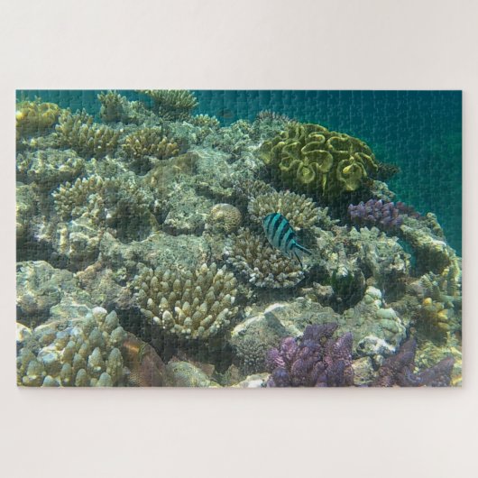 groot barrièrerif legpuzzel (Horizontaal)