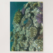 groot barrièrerif legpuzzel (Verticaal)