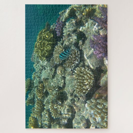 groot barrièrerif legpuzzel (Verticaal)