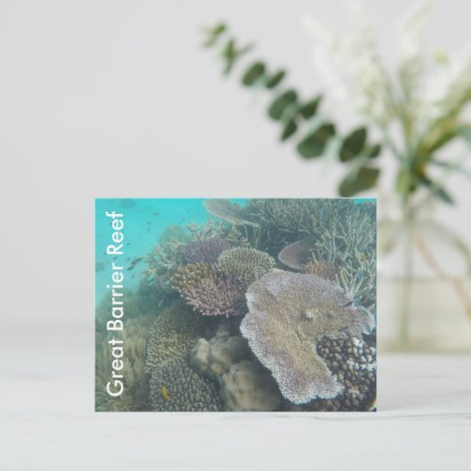 groot barrièrerif queensland briefkaart (Staand voorkant)