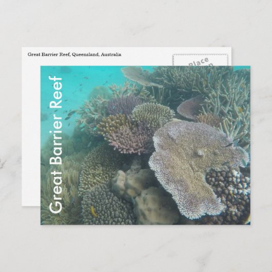 groot barrièrerif queensland briefkaart (Voorkant / Achterkant)