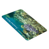 groot barrièrerif queensland magneet (Rechterzijde)