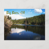 Groot Beer, CA-Briefkaart Briefkaart (Voorkant)