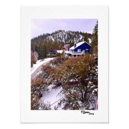 Groot Beer Foto Afdruk