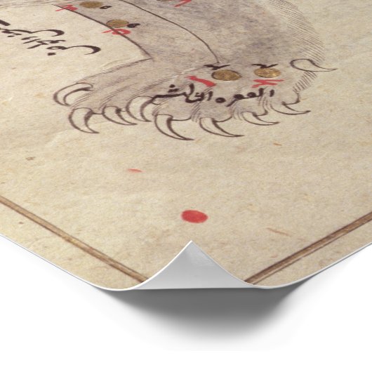 Groot Beer uit het Stars-boek na El Hussein Poster (Hoek)