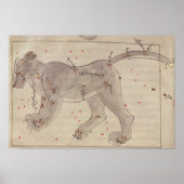 Groot Beer uit het Stars-boek na El Hussein Poster (Voorkant)