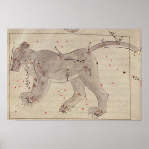 Groot Beer uit het Stars-boek na El Hussein Poster