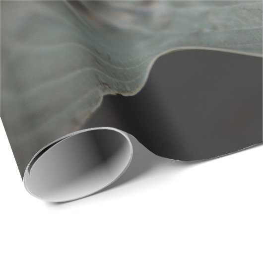 groot blad cadeaupapier (Rol Hoek)