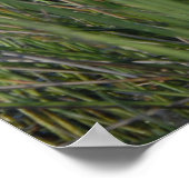 Groot blauw Heron in de Everglades Grass Poster (Hoek)