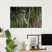 Groot blauw Heron in de Everglades Grass Poster (Thuiskantoor)