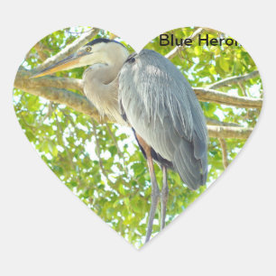 Groot blauw Heron vogel Hart Sticker