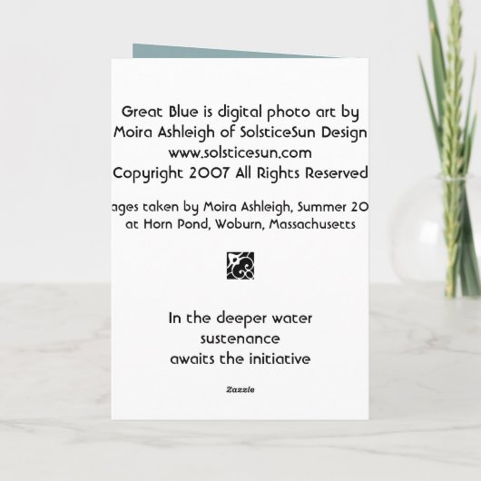 Groot Blauw Kaart (Achterkant)