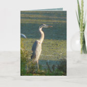 Groot Blauw Kaart (Voorkant)