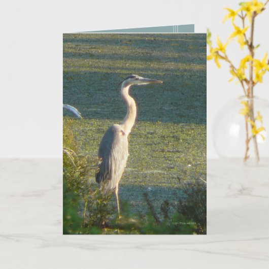 Groot Blauw Kaart (Gele Bloem)