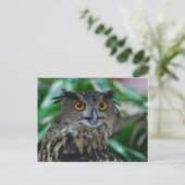 Groot Briefkaart (Staand voorkant)