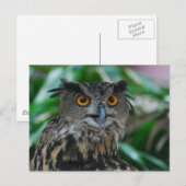 Groot Briefkaart (Voorkant / Achterkant)