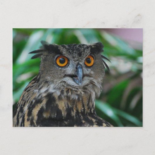 Groot Briefkaart (Voorkant)