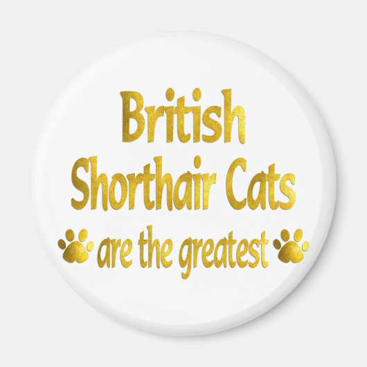 Groot Brits Korthaar Magneet (Voorkant)